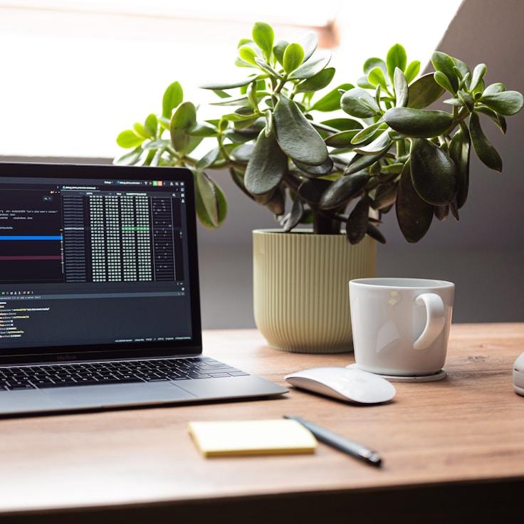 Web app development workspace